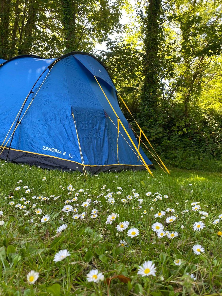 Camping_Direct's tweet photo. βοΈ Beach weather is on the way and next week is looking brilliant for Cornwall.
π Find out more about Treglisson Campsite here:
https://t.co/LhyqyIFB50
#visitcornwall #hayle #cornwallcamping #beachdays #holiday https://t.co/y227dc1aQR