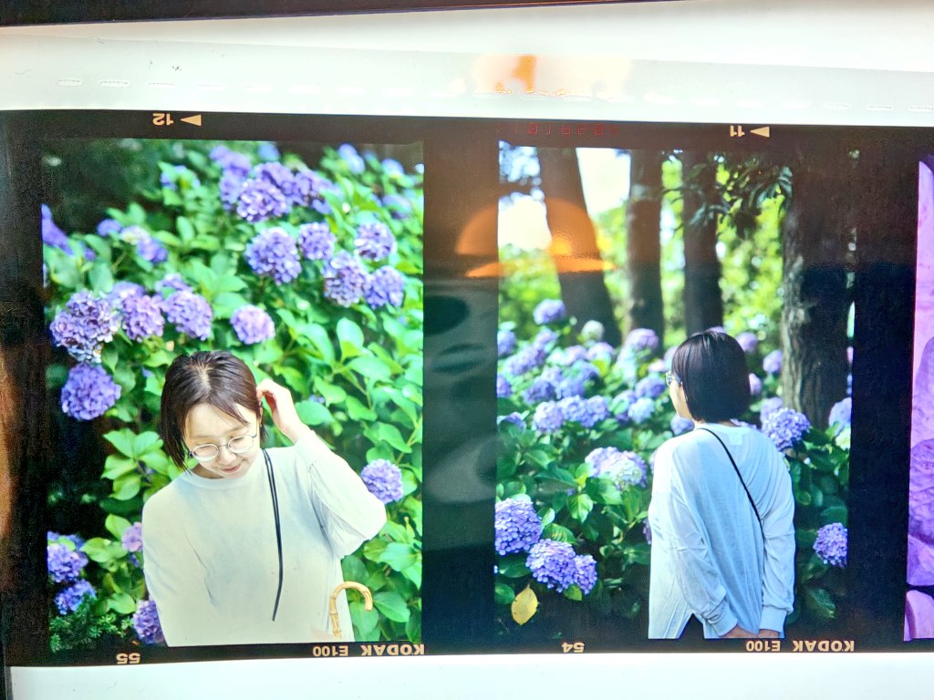 妻ポジフィルム PENTAX645J KodakE100 #国産中判フィルム写真展