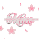 Photo by ﹒ 𑣲 𓏼 𝒻𝘭𝘢𝘸𝘭𝘦𝘴𝘴 𝓮𝘨͟𝘰͟ ⌣ ᥫ᭡ (@elysice)