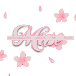 Photo by ﹒ 𑣲 𓏼 𝒻𝘭𝘢𝘸𝘭𝘦𝘴𝘴 𝓮𝘨͟𝘰͟ ⌣ ᥫ᭡ (@elysice)
