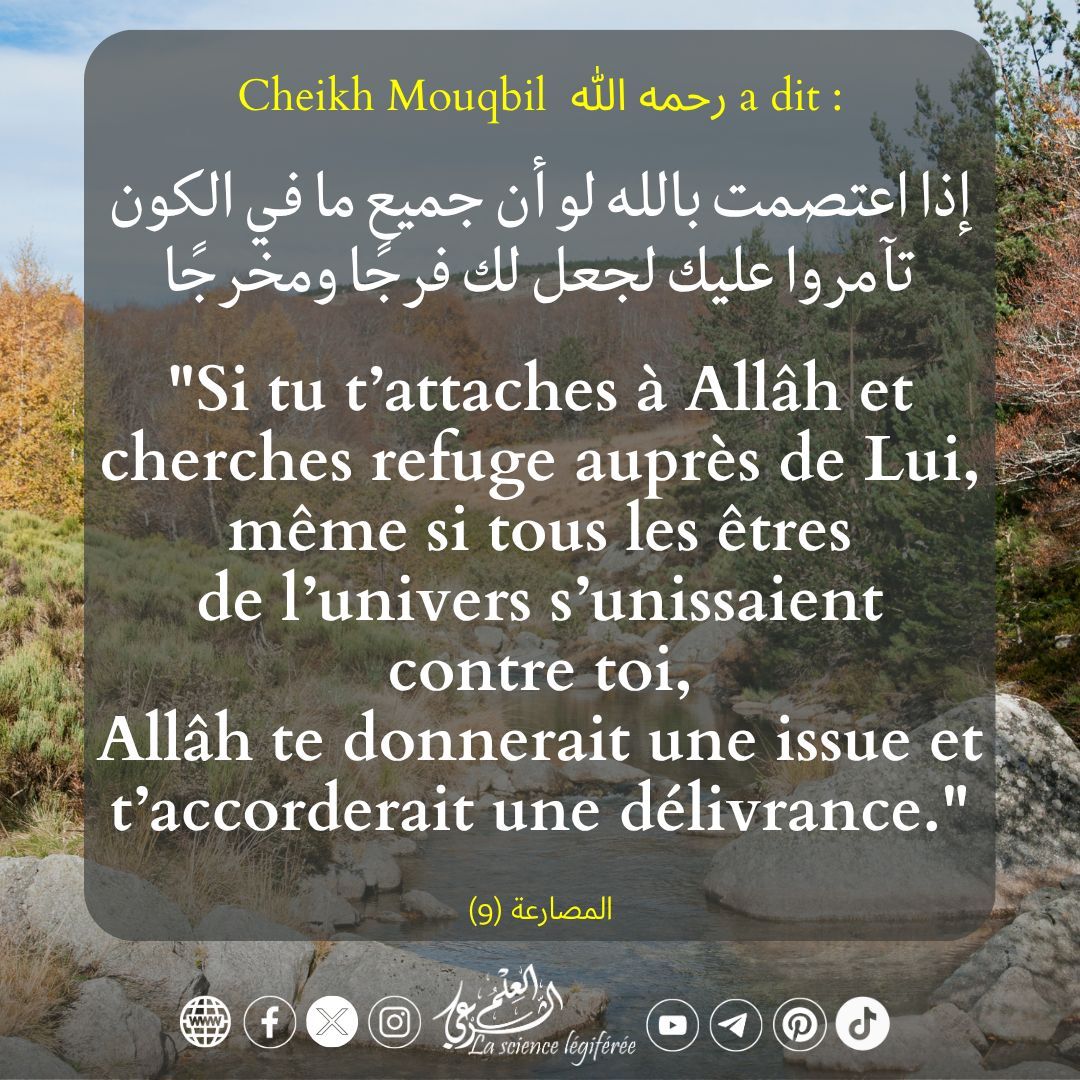 3ilmchar3i's tweet photo. 🌿 Si tu t’attaches à Allâh et cherches refuge auprès de Lui... https://t.co/bmUqHQHIXE