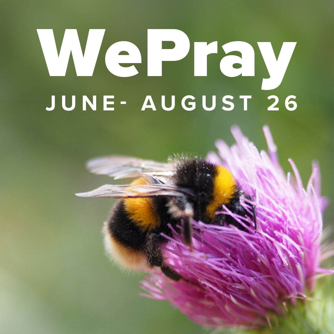 chelmsdio's tweet photo. The experience concludes with a final act of worship before the children return along the coastal path to their waiting coaches. 

Read the full article on page 16 in the latest edition of WEPRAY

👇 

https://t.co/3Lbms9orK3 

3/3 https://t.co/5pgj5TkaGU