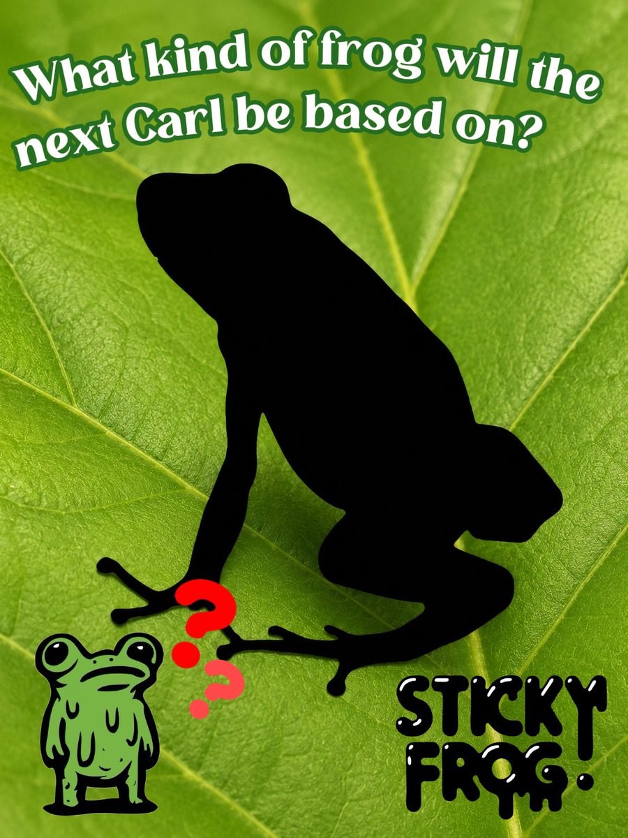 stickyfrog_'s tweet photo. 【2cmカールくん】
7月もスペシャルカラーカールくんが登場します🤙

今回は実在するカエルをモチーフにしたカラーなのですが、そのカエルは一体何でしょう？

シルエットをヒントに考えてみてケロ〜🐸

#STICKYFROG #2cmカールくん #カールくん https://t.co/QtBUX9a13q