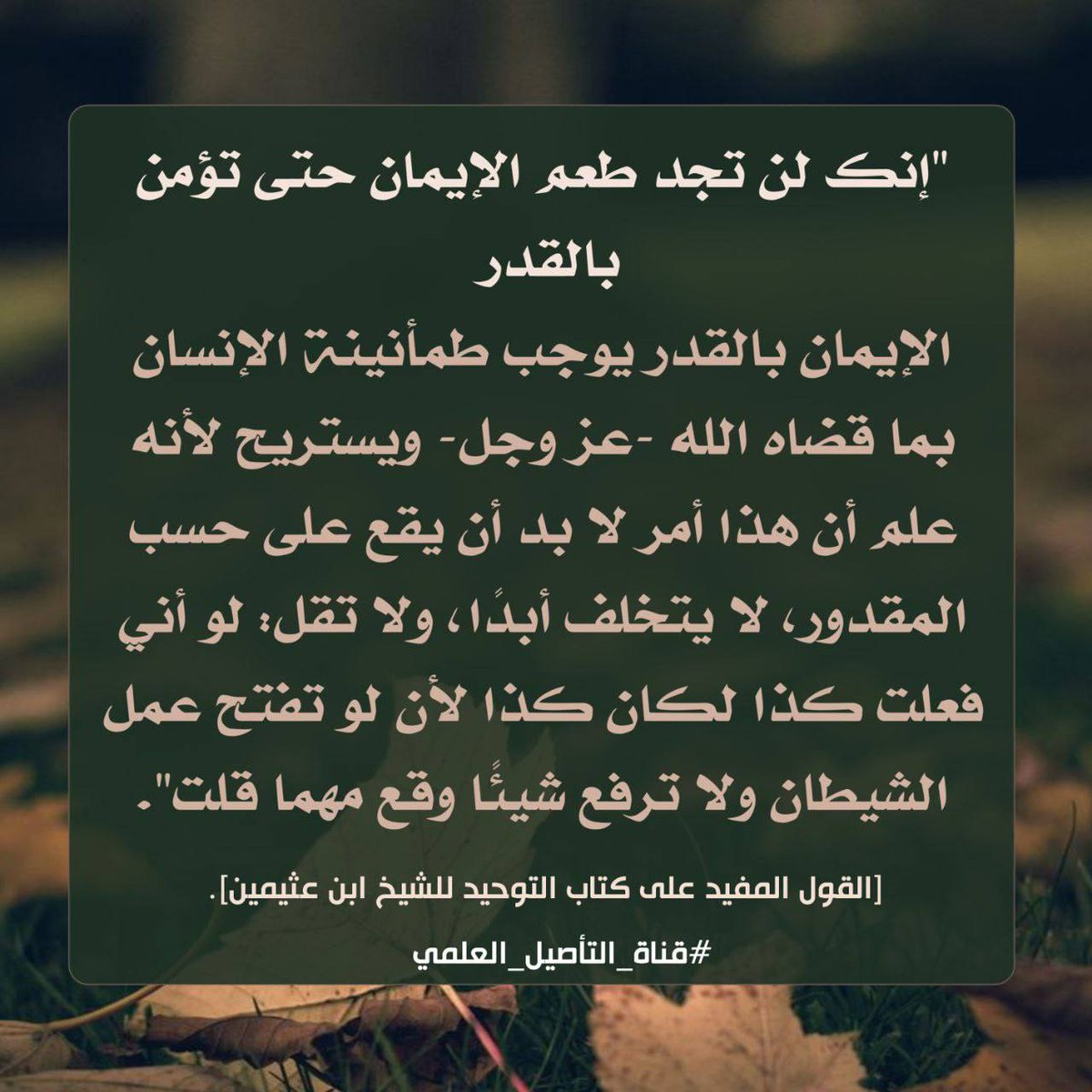 AlbySlwy's tweet photo. https://t.co/i6XXTj8IBG