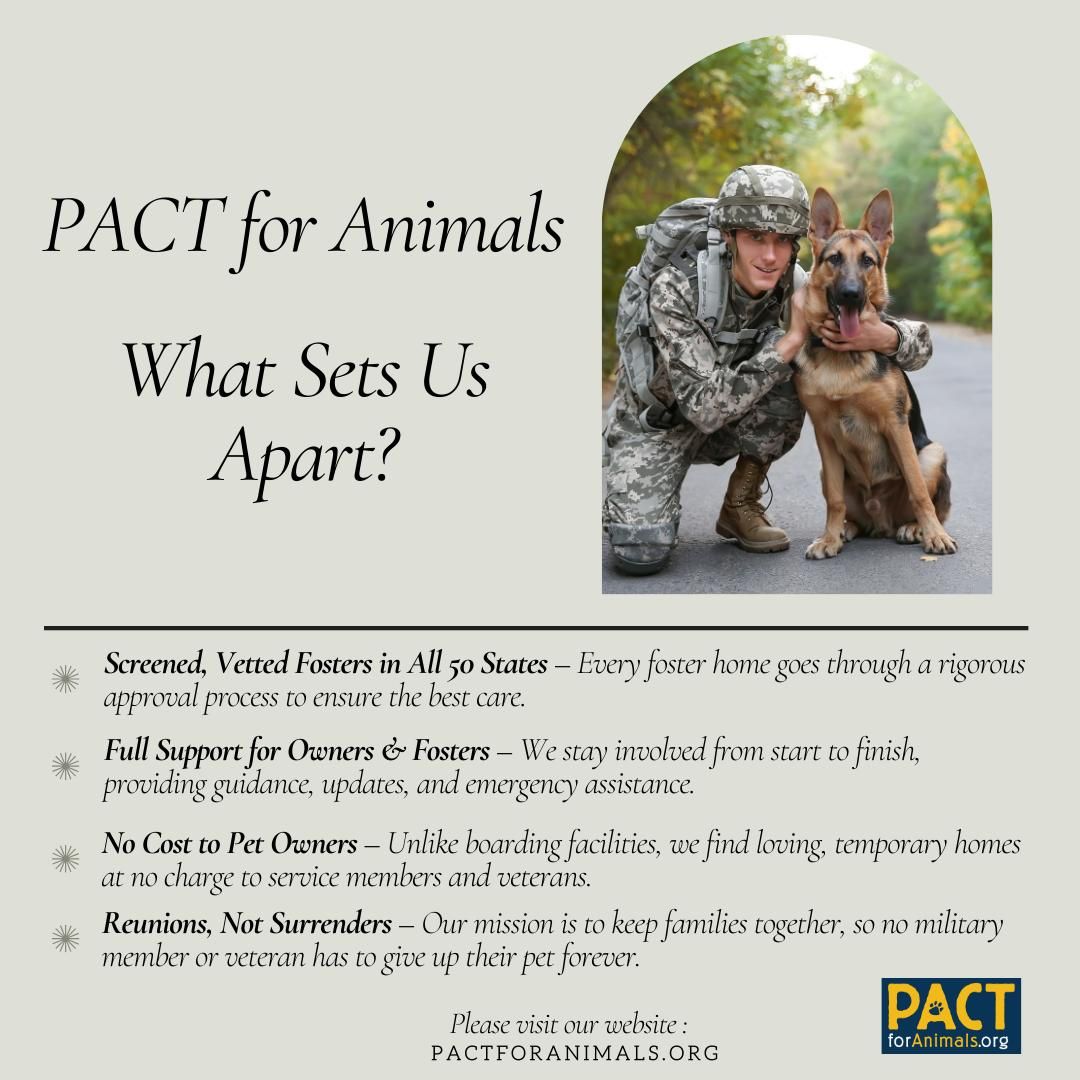 NOT_CFJ's tweet photo. PACT for Animals helps keep a military family together and prevents unnecessary surrenders
https://t.co/uWG1BkmR2W
@pactforanimals
#PACTforAnimals #AnimalWelfare @gigi27brand #FosterPet #MilitaryPet #MilitaryFoster #FosterPets #SupportOurTroops #FosterAnimals #FosterHeroes https://t.co/DIVw8n0jzL