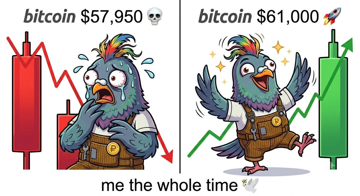 pigeoncoiin tweet picture