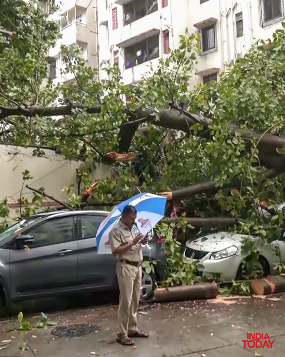 IndiaToday's tweet photo. Several cars were damaged after trees were uprooted and fell on them near Churchgate as heavy rainfall lashed Mumbai on Thursday.
#MumbaiRains #HeavyRain #Churchgate #Monsoon #Mumbai #ITPhotoblog https://t.co/83dfkRkuP3