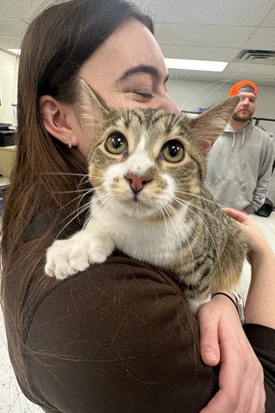 AMAZlNGNATURE's tweet photo. Kitten born with 28 toes ties 24 year Guinness World Record

Ten month old Toby was born with 28 toes, matching the Guinness World Record for the most toes on a cat. Despite his extra toes, his owners say he's a perfectly healthy and "regular kitty" https://t.co/YwwQmN8OuH