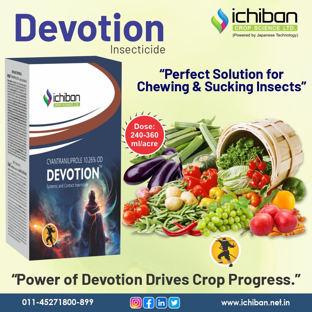 ichibancrops's tweet photo. 🌱 DEVOTION
Powerful Protection Against Chewing & Sucking Pests. Healthier Crops. Higher Yields.
#DEVOTION #Cyantraniliprole #ChewingPests #SuckingPests #CropProtection #InsectControl #HealthyCrops #HigherYield #Chilli #Tomato #Paddy #Cotton #Cabbage #Okra #ichibancropscienceltd https://t.co/qy3NJaeclE