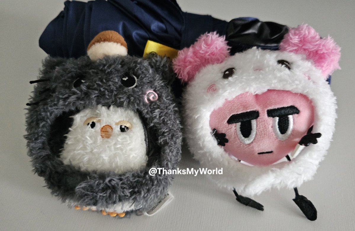 ThanksMyWorld's tweet photo. 베찌랑 찰스에게도 hbn 모자 씌워서 찍어 봄
실물이 매우 귀여움😚 https://t.co/Ox2JCTWMp6