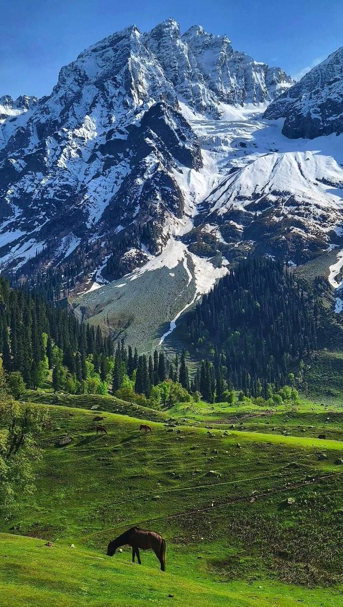 amarjeet_sikh's tweet photo. This is not Switzerland 🇨🇭
This is not Finland 🇫🇮

This is my Pakistan 🇵🇰 bro https://t.co/wjZCLn6AhY