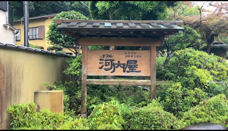 yayoitrip's tweet photo. 静岡県 南伊豆町 下賀茂温泉♨️

政府登録国際観光旅館のホテル河内屋に泊まります✨

ぼっち22130円です✨

広くて綺麗なお部屋✨

源泉掛け流しの温泉もとてもよきでした✨✨

満たされます🙂‍↔️✨✨✨ https://t.co/zen7qvYKZE