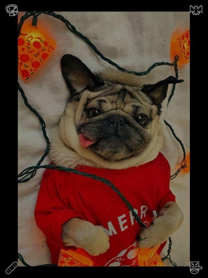 Jensparklin's tweet photo. Eleanor 点了点头，翻开第一页，看着画中那位留着长发、带着微笑的女性插图说道：“这是我妈妈的书，她以前常读给我听。想听一段吗？”🛩美味的香蕉酸奶 https://t.co/HiX8py2roa