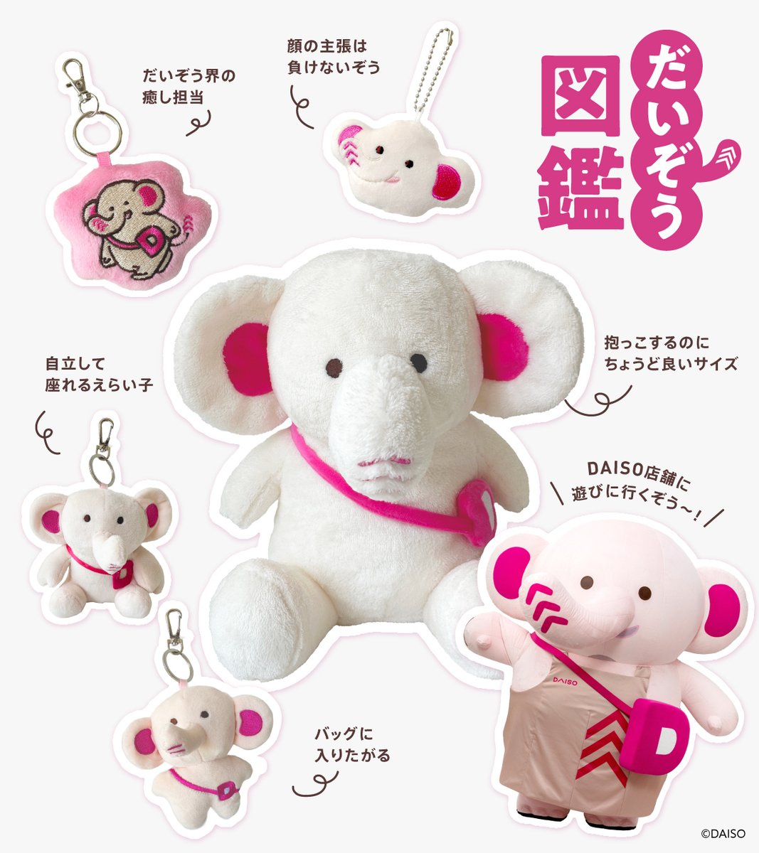 DAISO 【公式】 tweet media