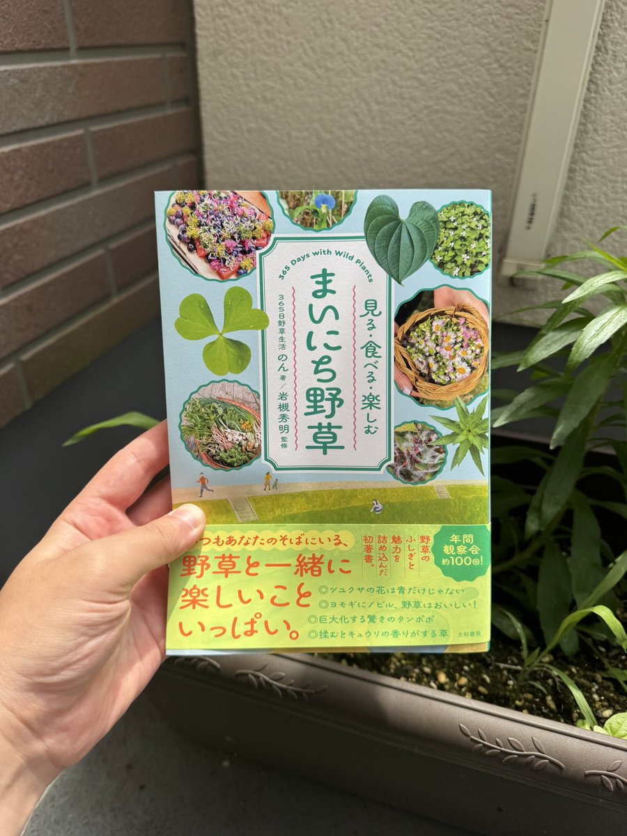 hommsapi's tweet photo. 365日野草生活ののんさんより著書を送っていただきました！

これ系の本は一通り読んできたつもりですが、ダントツで内容が濃いのでみなさんおすすめです。

植物に傾倒した人間の狂気が詰まっています笑

https://t.co/ZVmkT5Xs7U https://t.co/g7oAnoK7e6