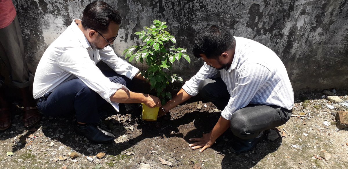 fishcopfedindia's tweet photo. The FISHCOPFED Northeast Regional office has organized a plantation programme on 02.07.2026 at its regional office Guwahati on the eve of glorious five year completion of Ministry of Cooperation, Government of India. https://t.co/qq66Dw9KnW
