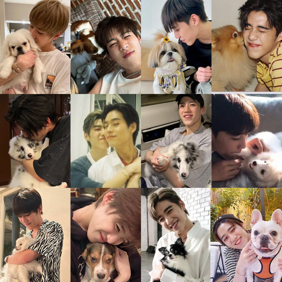 tamjailuvu's tweet photo. พีพีดูจะชอบหมาเนอะ
เวลาอยู่กับหมาแล้วแบบน่ารักอะ เดี๋ยวจุ้บเดี๋ยวหอม🥺

ชอบหมามากแน่ๆเลย🐶 https://t.co/KAySkTfT0k