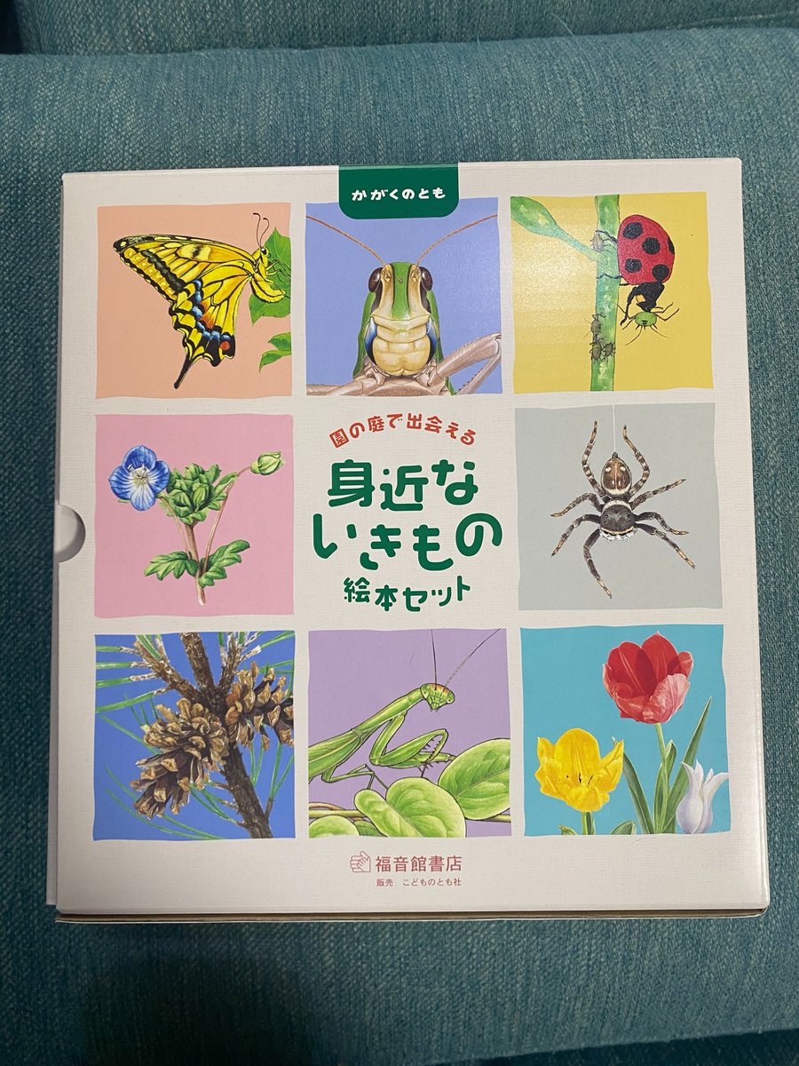 幼稚園通販で買った、かがくのとも『園の庭で出会える身近ないきもの