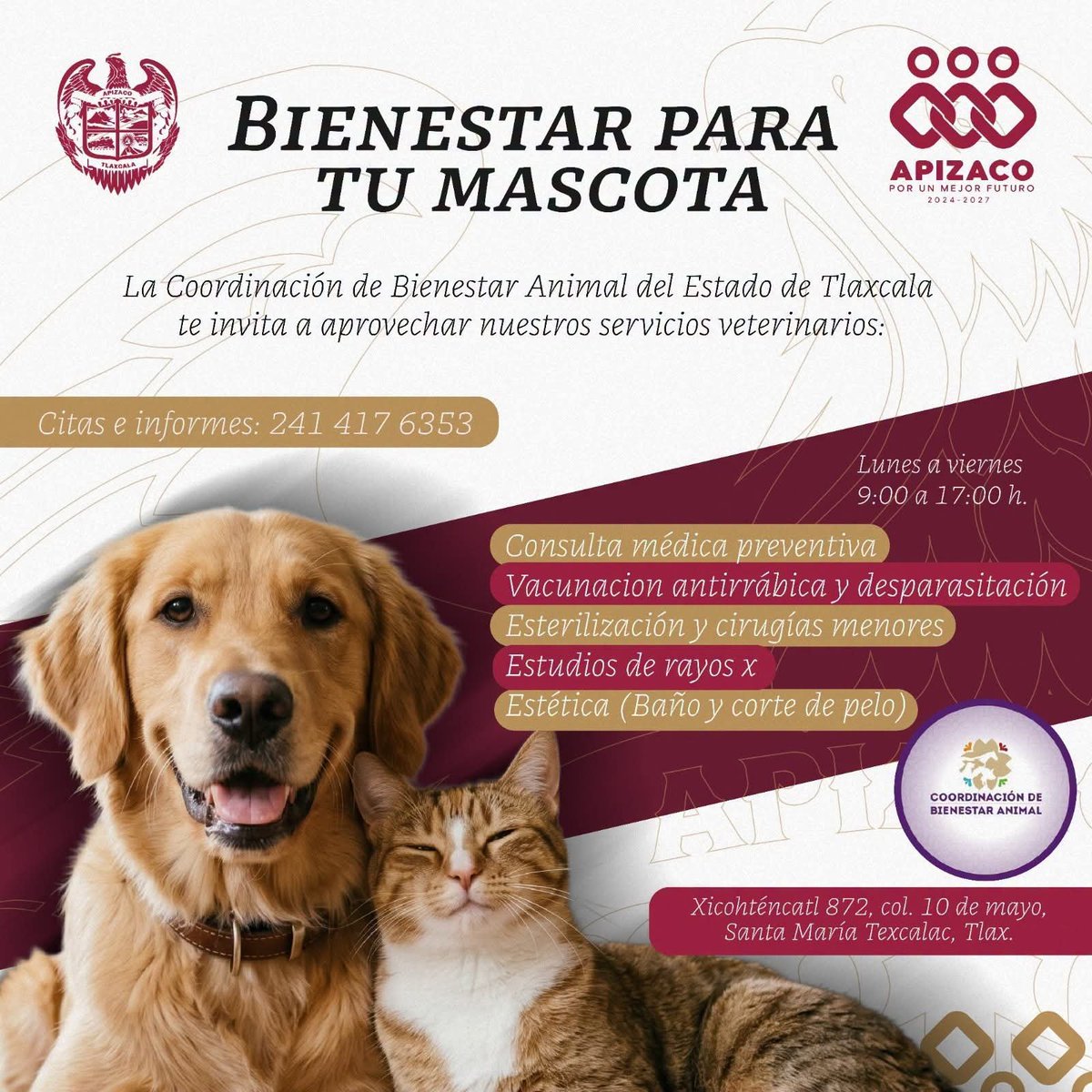 Infortlaxx's tweet photo. 🐾 ¿Cuándo fue la última vez que revisaron a tu peludito? ¡No lo dejes para después!

La Coordinación de Bienestar Animal del Estado de Tlaxcala pone a tu alcance servicios veterinarios de calidad con costos súper accesibles. 
#PorUnMejorFuturo https://t.co/GGp8EbYPs1