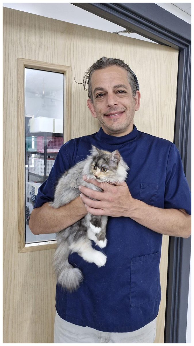 VetTimesJobs's tweet photo. We're hiring! 🐾 Swansea Cat Clinic is looking for an experienced Veterinary Surgeon to join our independent, feline-only team. Full or part-time considered. No OOH, Sundays or bank holidays. Salary starting from £48k https://t.co/KfGf7dhszk