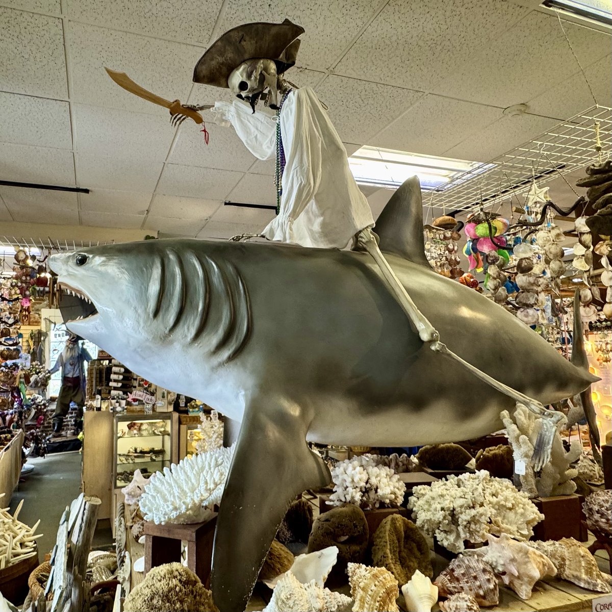 AttersonBarbara's tweet photo. #AlphabetChallenge #WeekZforZany
Cutlass-wielding pirate skeleton wearing a nightshirt and riding a shark. https://t.co/w4rfawzYZc