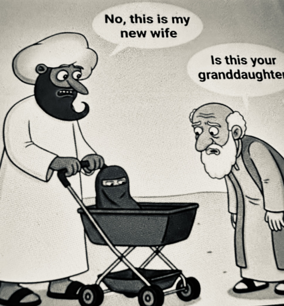 LizaRosen0000's tweet photo. Islam is incompatible with western values! https://t.co/ahvAfK9Y6y