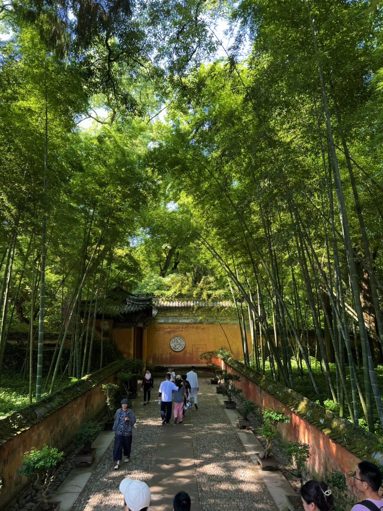zcy314's tweet photo. 🌾🌌🏞️🧘 https://t.co/TxeLzUDqpo
