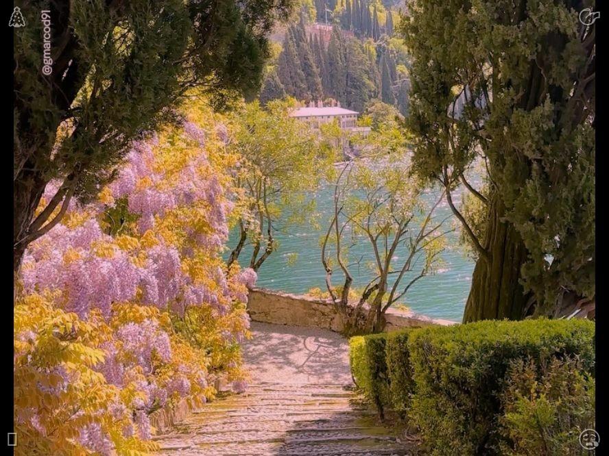 FreedomHeartL's tweet photo. Mom's book. A dog with its owner. Kai held Elara’s hand, his touch warm and reassuring. “We are the guardians now,” he stated softly yet firmly. “We will preserve the garden and their legacy. We will ensure that the love grown here and the beauty that flourished are never fo https://t.co/vUVj9gVq9N