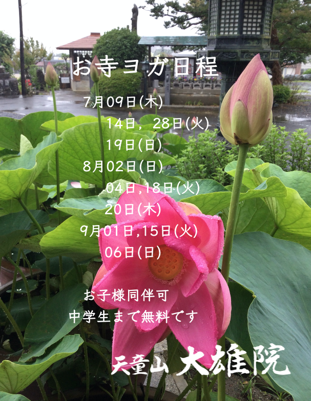 daio_in's tweet photo. お寺ヨガのご案内🧘‍♂️🌱

初回は1,000円 

7月9日(木)9時30分〜10時30分 鈴木伸治先生
14日・28日(火)13時〜14時  yukari先生 
19日(日) 10時〜11時15分 shiho先生

親子で参加される場合、中学生までは無料です

お申し込みは
https://t.co/RpI5aCynD5
お気軽にお申し込みください🪷

#日立市 #ヨガ https://t.co/cynBljydtO