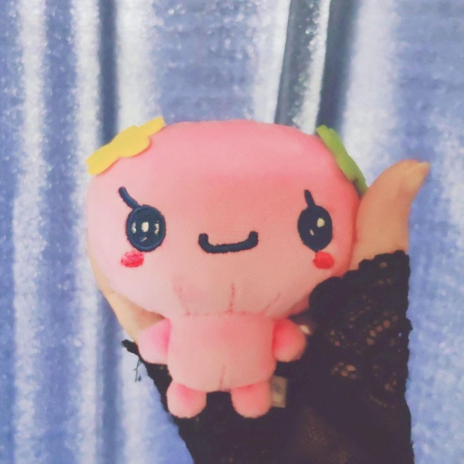 a5ctei's tweet photo. かわいい🥺🥺 https://t.co/jF7NZKBYOy