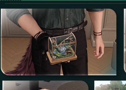 🐺Lilium✨️ tweet media