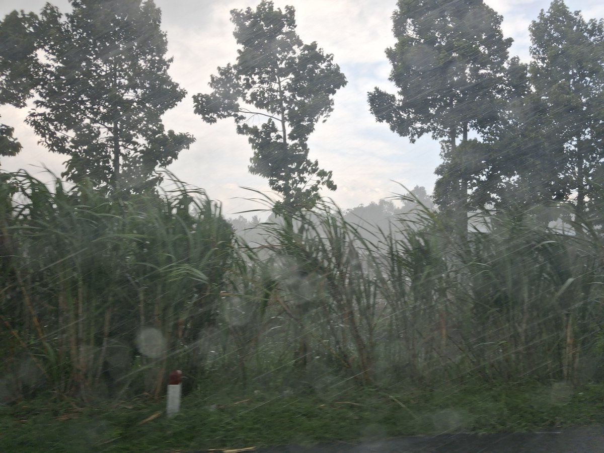onlystrongmoves's tweet photo. Heavy rain while I'm in the bus https://t.co/FrLGDe4qPw