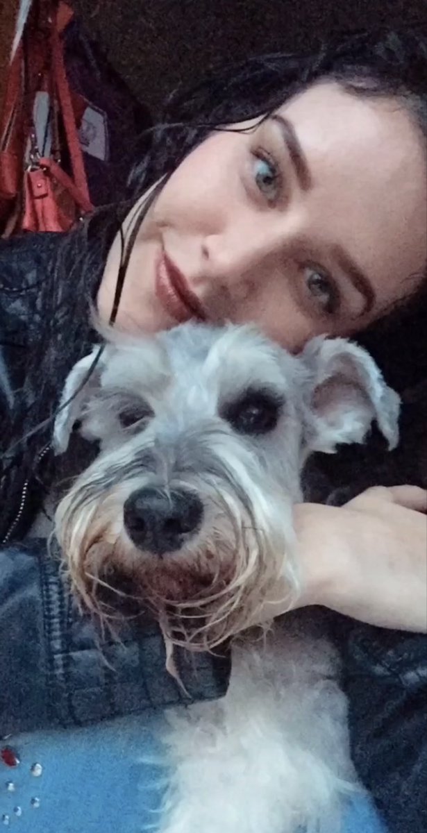 piaechavarria's tweet photo. Estoy muy contenta con la llegada de Yuki el nuevo perrito después de 4 años sin tener uno, pero aveces lloró de mi último perrito llamado Thor porque se los juro que fue el mejor perro que tuve 🥲🥹💙 https://t.co/9xW3c9d5rl