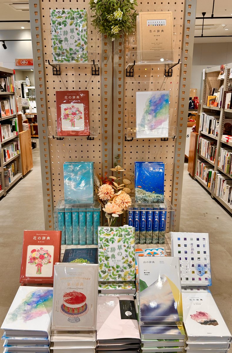 story2yokohama's tweet photo. 【Book】

美しい辞典のコーナーができあがりました

草＊色＊花＊星＊空＊海＊　
数＊青＊菜＊菓＊紋＊石＊山＊

お好きな辞典はどれですか？

＃ストヨコ　＃チーム書籍　
＃かわいいのでたくさん買ってください https://t.co/DO6OwytYQZ