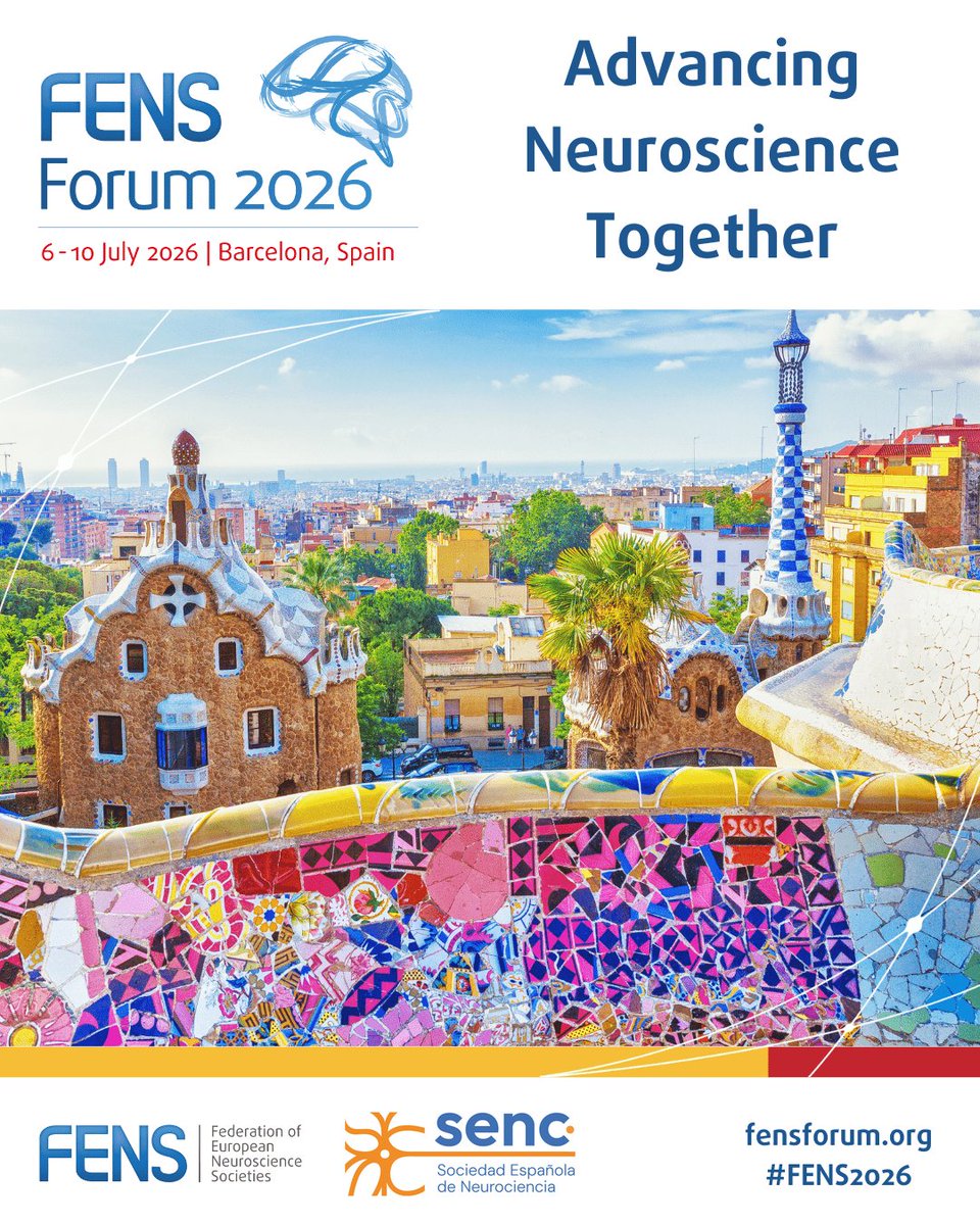 SENC_'s tweet photo. 🧠 #FENS2026 comienza el lunes en Barcelona

Del 6 al 10 de julio, acogerá el mayor encuentro internacional de #neurociencia en Europa

Consulta el programa y no te pierdas el booth de #SENC, un espacio dedicado a la investigación de nuestros miembros

🔎 https://t.co/if2itBgs6J https://t.co/4CSwwGpl2W