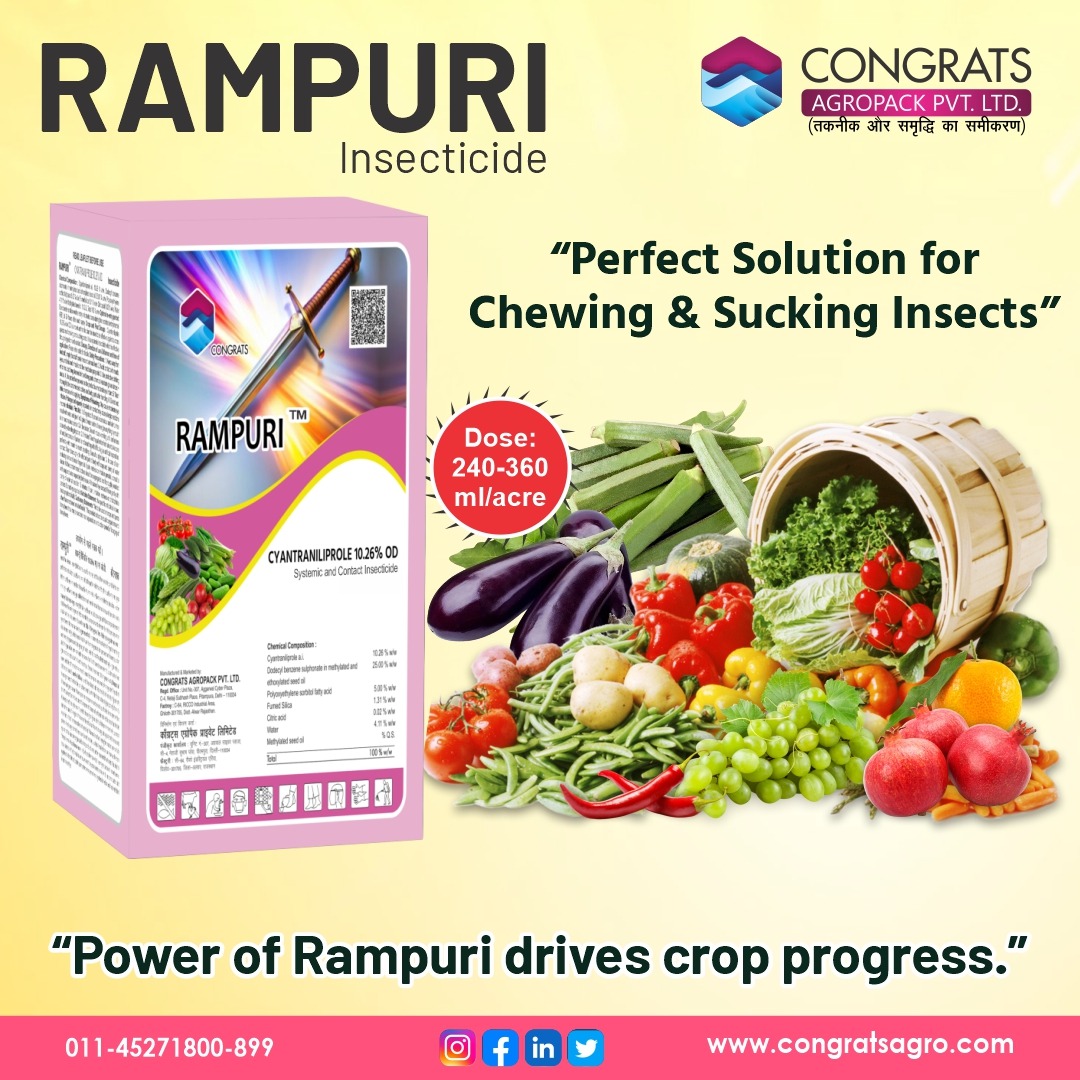 CongratsAgro's tweet photo. 🌱 RAMPURI
Powerful Protection Against Chewing & Sucking Pests. Healthier Crops. Higher Yields.
#RAMPURI #Cyantraniliprole #ChewingPests #SuckingPests #CropProtection #InsectControl #HealthyCrops #HigherYield #Chilli #Tomato #Paddy #Cotton #Cabbage #Okra #congratsagropackpvtltd https://t.co/B9WhP677yV
