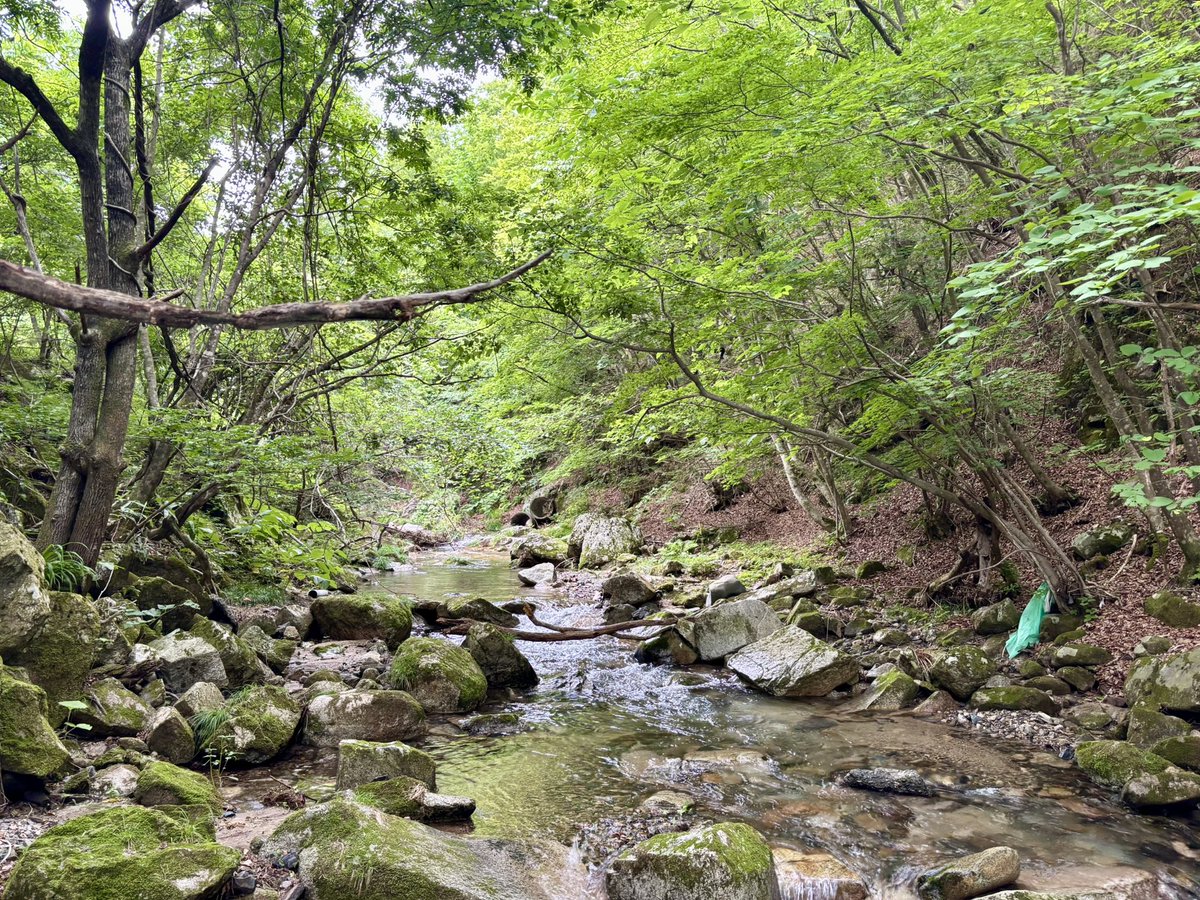 tencho_last1997's tweet photo. 午後からは支流へ移動して2時間程遡行🎣
『Awayco40S』でアベレージサイズのヤマメと岩魚をキャッチ🐟
#exts44ul
#exts46ul
#exts464ul
#ウェットウェーディング
#extreme_山女魚ネット https://t.co/6ASSj84icF