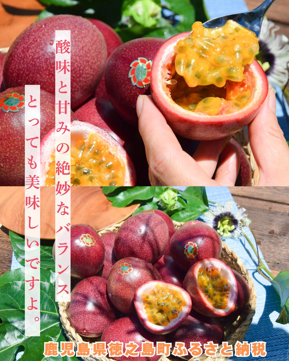 tokuno_furusato's tweet photo. 【パッションフルーツ🍴】
鹿児島県徳之島町ふるさと納税では、パッションフルーツが旬を迎えております🌈
徳之島町花徳（けどく）にある研修施設でも美味しいパッションがたくさん収穫されています🥰
#徳之島 #ふるさと納税 #パッションフルーツ #返礼品
#楽天ふるさと納税
https://t.co/bx10Hnt8E0 https://t.co/s1sEUvg4Rq