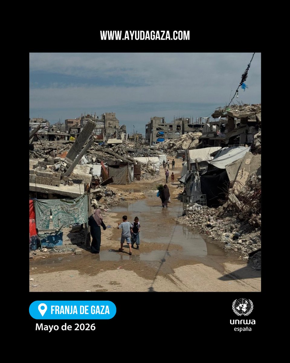 UNRWAes's tweet photo. En #Gaza, el agua potable, los alimentos y los medicamentos siguen siendo insuficientes. Las necesidades aumentan cada día.
En UNRWA seguimos trabajando para llevar atención sanitaria, agua limpia y otros servicios esenciales a quien lo necesita.
Si puedes https://t.co/jMonW8szym https://t.co/g3PLyrcOvs