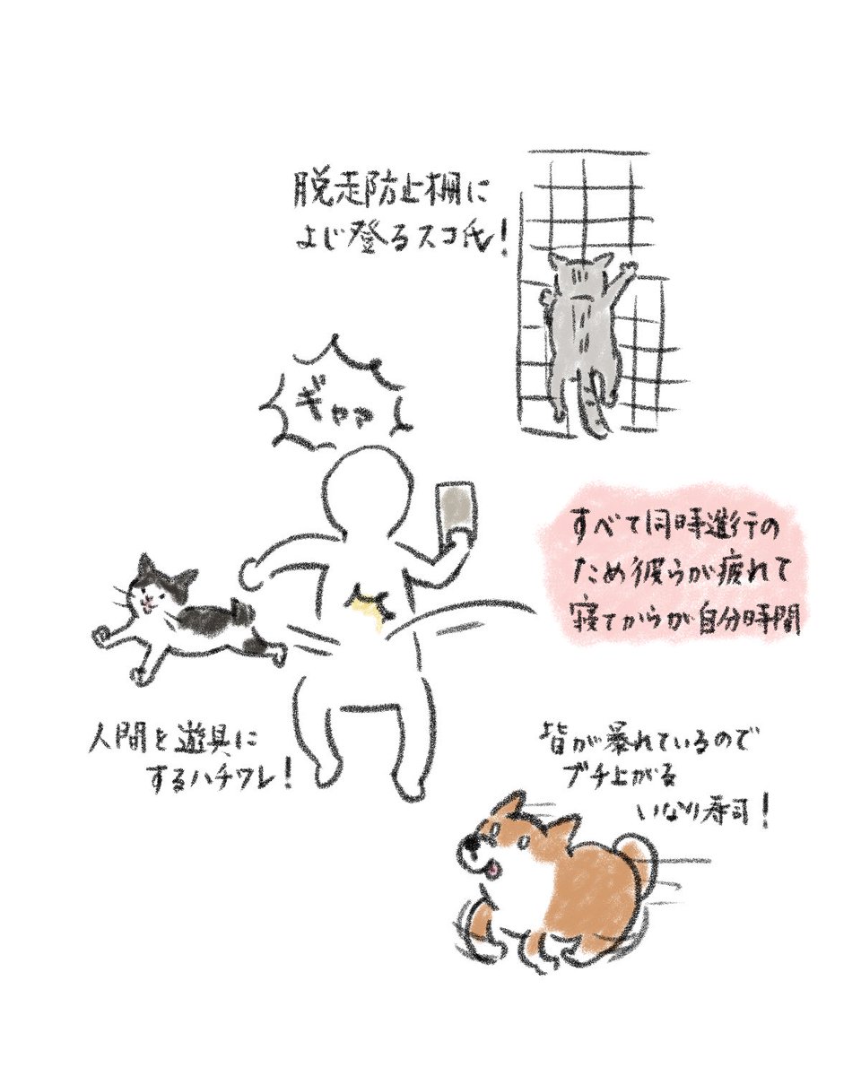 shimashimalog's tweet photo. https://t.co/kypHODnP8c