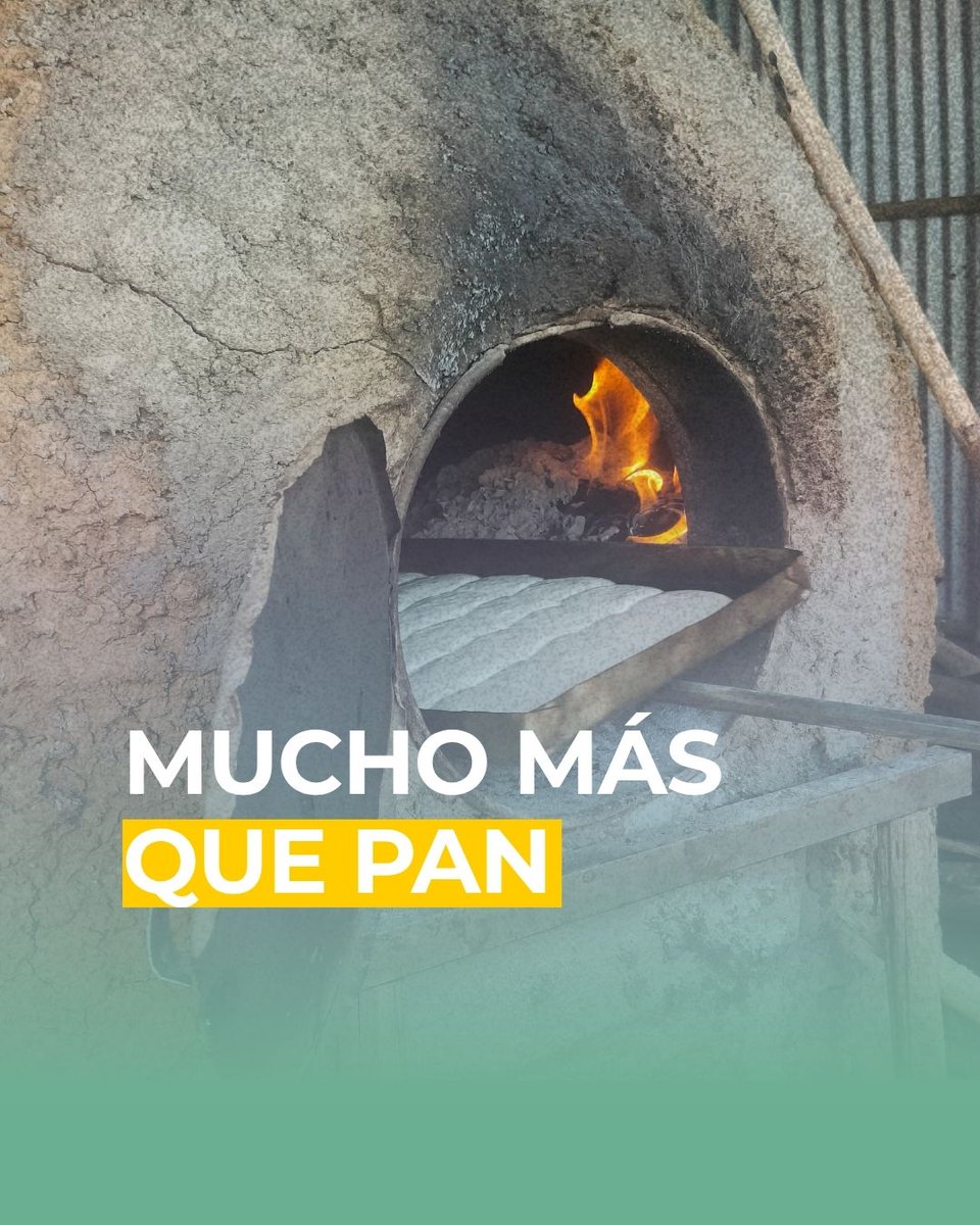 ongrescate's tweet photo. En Shebele, Etiopía, una panadería comunitaria es mucho más que pan.

Es empleo para mujeres.
Es autonomía.
Es prevención de la Mutilación Genital Femenina.
Es cooperación construida junto a la comunidad.

Proyecto financiado por la Diputación Provincial de Málaga y ejecutado junto a HAVOYOCO.

#mgf #cooperacioninternacional #derechosdelasmujeres