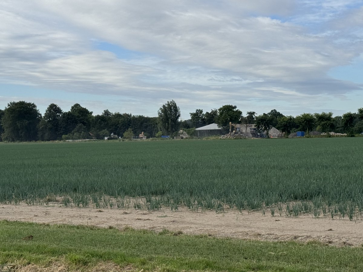 biogroko's tweet photo. Met een handvol miljoenen van Van der Wal hebben we hier 250 mk opgeruimd maar nergens is “de natuur” veranderd ….
Zinloos beleid! https://t.co/icAcdcYLWk