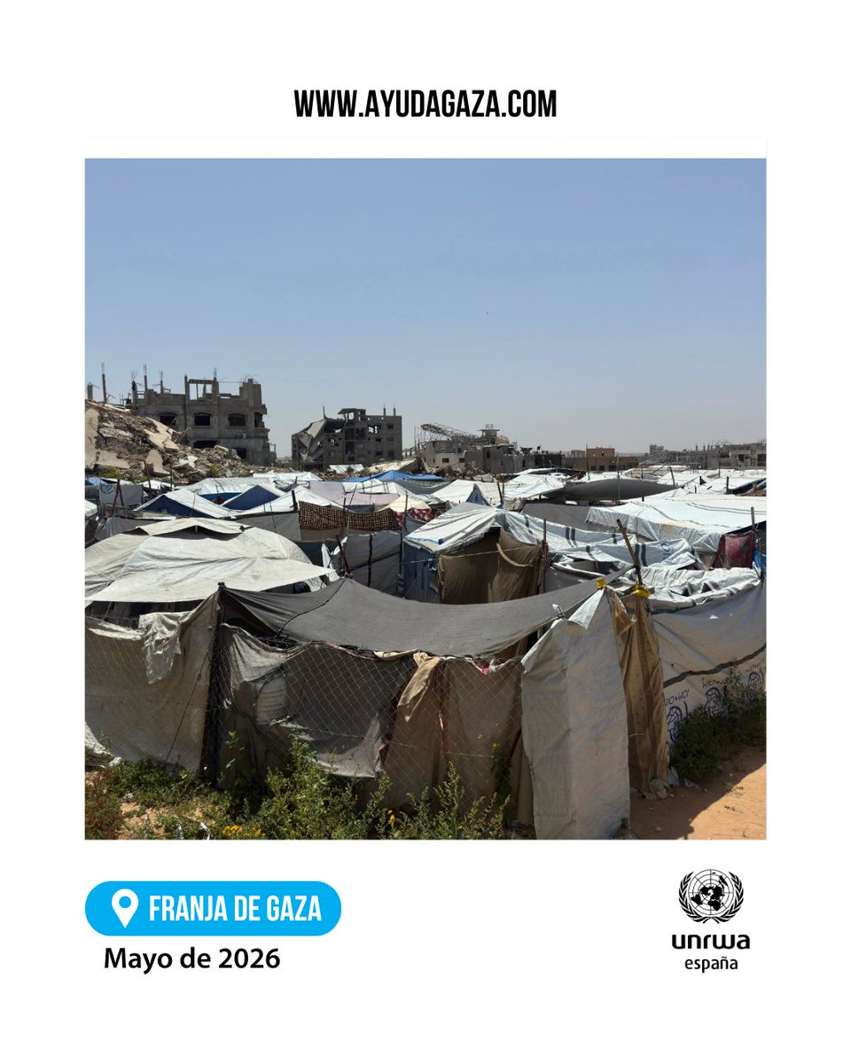 UNRWAes's tweet photo. En #Gaza, el agua potable, los alimentos y los medicamentos siguen siendo insuficientes. Las necesidades aumentan cada día.
En UNRWA seguimos trabajando para llevar atención sanitaria, agua limpia y otros servicios esenciales a quien lo necesita.
Si puedes https://t.co/jMonW8szym https://t.co/g3PLyrcOvs
