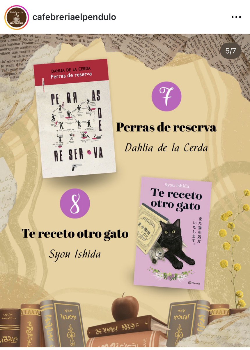 DahliaBat's tweet photo. Hay gente tan poco paseada (y no me refiero a que no conozcan otras ciudades o pueblos). Me refiero a que no conocen otras formas de vivir y de trabajar. Que precisamente por eso creen que si una persona está despierta a las doce, una, dos o tres de la mañana, es porque no tiene paz, porque vive frustrada, triste o intranquila.

Para que se enteren: Hay personas que trabajamos de noche. Mi esposo durante años entró a trabajar a las nueve de la noche y salía a las seis de la mañana. Mi mamá trabajaba de nueve de la noche a tres de la mañana. Yo también trabajé en turno nocturno. Entraba a las doce de la noche y salía alrededor de las tres de la mañana.

En esta casa somos vampiros. Estamos acostumbrados a vivir y trabajar cuando mucha gente ya está dormida.

Así que si me ven tuiteando a la una, dos o tres de la mañana, lo más probable es que esté trabajando en alguno de mis proyectos.

O también porque la realidad es mucho más sencilla: no me duermo temprano porque no tengo razones para hacerlo.

Y ya que ando por aquí despierta aprovecho para agradecerles porque Perras de reserva lleva otra semana entre los libros más vendidos de El Péndulo 💰

Lo satisfactorio de esto es que muchas de las personas que más desean convencer al mundo de que soy una mitómana, que vivo en un chiquero, que no tengo paz o que mi cuerpo está tan enfermo que ni siquiera puedo hacer ejercicio, cuando voy al gimnasio todos los días a darle a los fierros y al box, terminan haciéndome publicidad gratuita.

Mientras yo estoy dormida o despierta a la 1 am mis libros se siguen vendiendo solitos. No tengo que buscar lectoras. Ellas llegan solas porque ustedes con su obsesión las traen a mí 🔮

Así que yo me voy a seguir durmiendo a la hora me dé la gana porque puedo. 

Porque gracias a ustedes gano dinero sin hacer nada, porque ustedes ayudan a que la gente me descubra y compre mis libros 🫰🏼