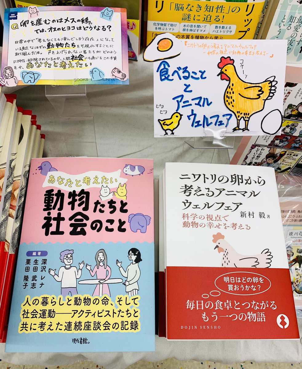 紀伊國屋書店 新宿本店 on X: 