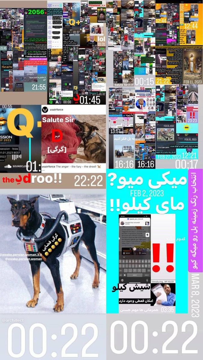 sèé17Q tweet media