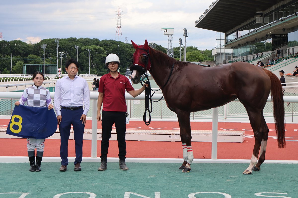 hochichihokeiba's tweet photo. 【阪神アーバン競馬】園田競馬

10Ｒは、佐々木世麗騎手がイントゥザフロー（盛本信春厩舎）の手綱をとり勝利。今年の勝ち星を45勝としました。厩務員さんともがっちり握手です

#佐々木世麗
#イントゥザフロー
#盛本信春 https://t.co/aPkU4ExyfG