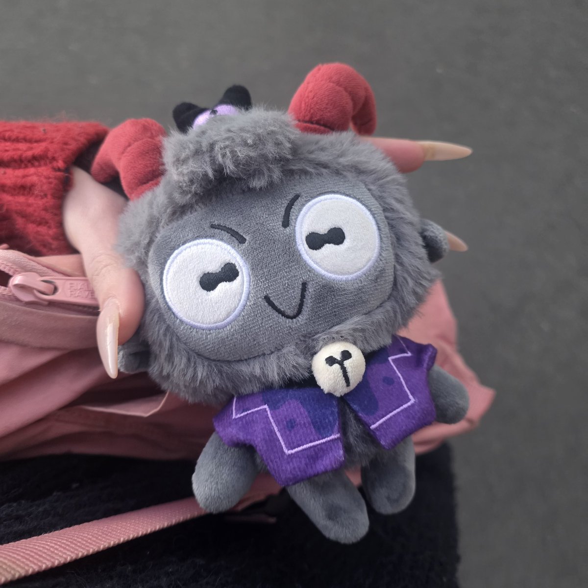 cultofthelamb's tweet photo. got my goat on today. my little baby. my funny creature https://t.co/g0QibLCaKi