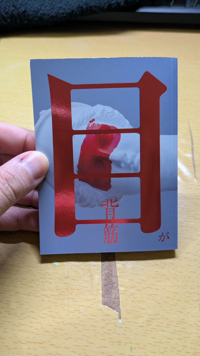 買う前はこれの1/5くらいのイメージだったからなんか本デカくなった