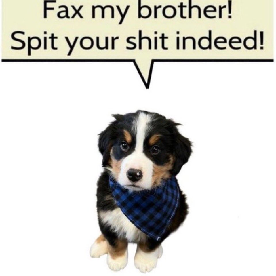JasperCrossFox's tweet photo. @SeaBurning https://t.co/2nIe7MfwFL